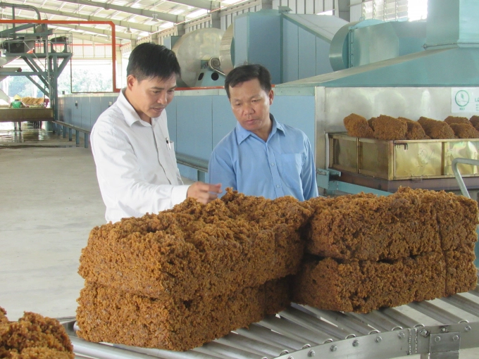 Khấm khá nhờ làm công nhân cao su